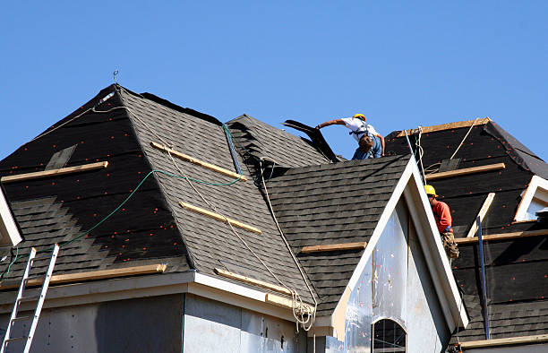 Best Roof Maintenance Services  in Lake City, IA