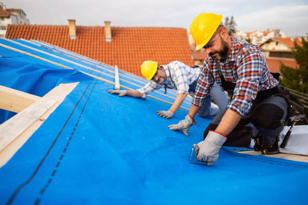 Best Roof Waterproofing Services  in Lake City, IA