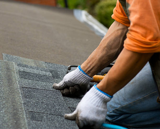 Best Residential Roofing Contractor  in Lake City, IA