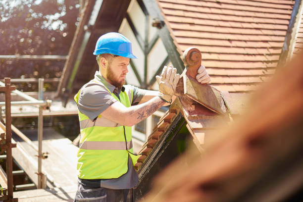 Best Roof Gutter Cleaning  in Lake City, IA